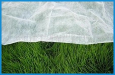 無(wú)紡布，無(wú)紡布價(jià)格，彈簧包用無(wú)紡布，家居無(wú)紡布，東莞市錦晨無(wú)紡布有限公司
